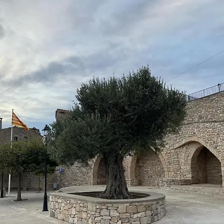 Lo Mirador De Fores Tarragona